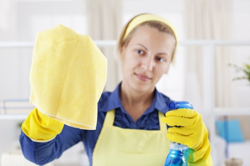 Carpet cleaning team using sustainable practices in Highams Park