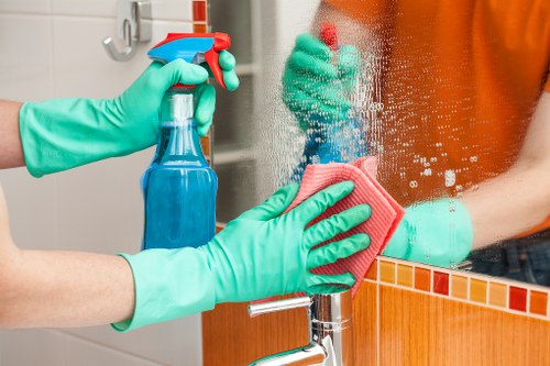 Pet stain odour removal in Highams Park carpet cleaning scene