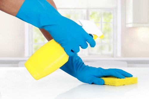 Transparent carpet cleaning pricing discussion in Highams Park