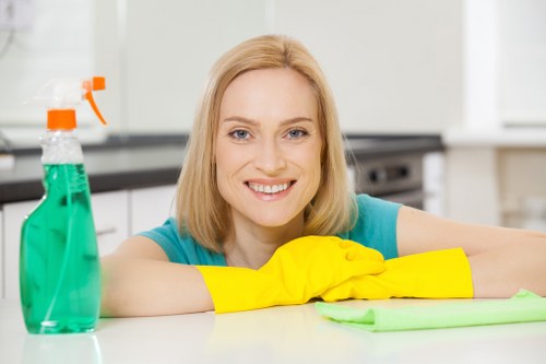 Professional sofa cleaning in a Highams Park living room