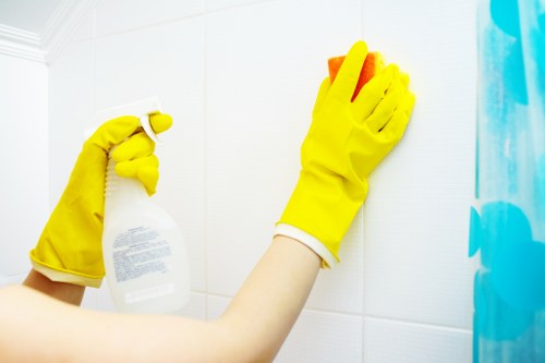 Professional carpet cleaning in a Highams Park home