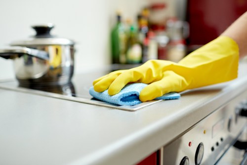 Deep cleaning dirty carpet fibers in Highams Park