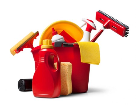 Professional carpet cleaner managing equipment carefully in a property